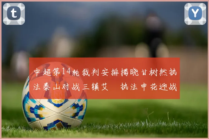 中超第14轮裁判安排揭晓甘树然执法泰山对战三镇艾堃执法申花迎战新鹏城