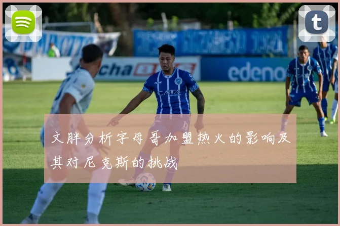 文胖分析字母哥加盟热火的影响及其对尼克斯的挑战